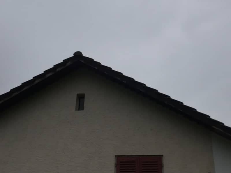 Gübeli Farmhouse Architecture - Image 1