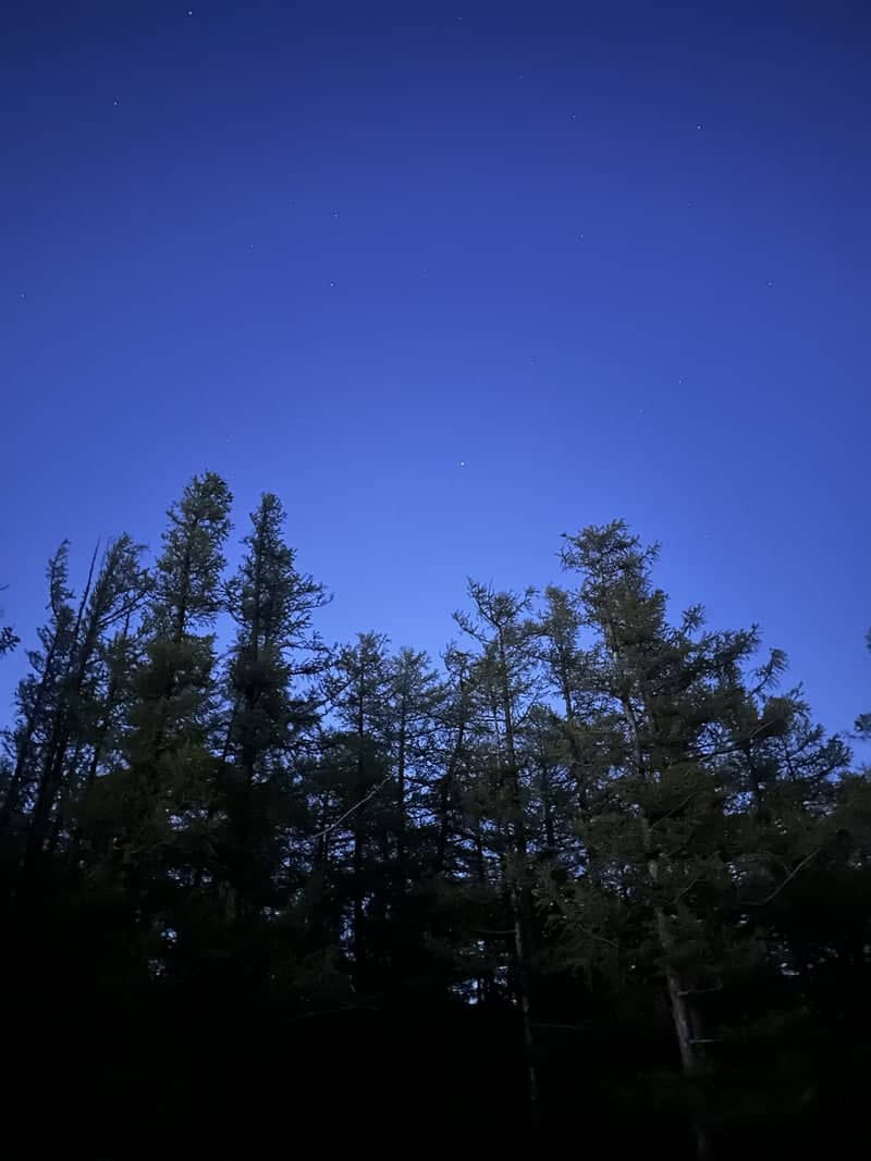 Chingeltei Forest Nightscape - Image 1