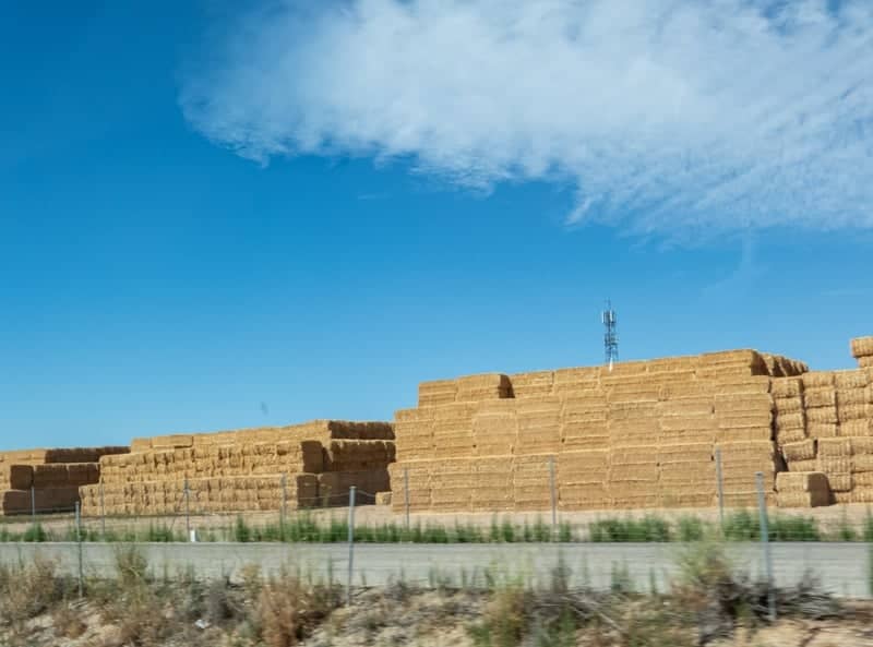 Albacete Hay Bale Walls - Image 1