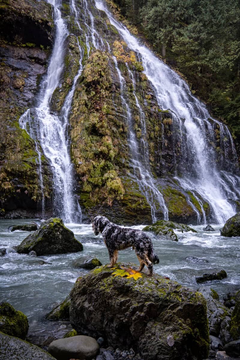French Creek Falls - Image 1