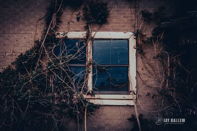 Overgrown Brick Window - Image 1