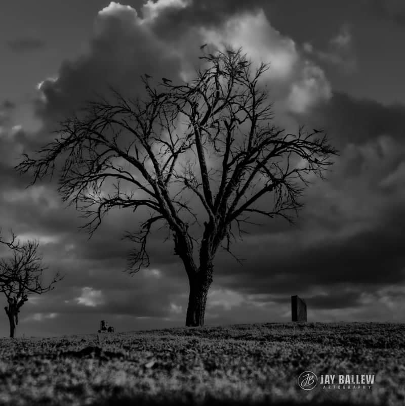 Hale Center Cemetery - Image 1