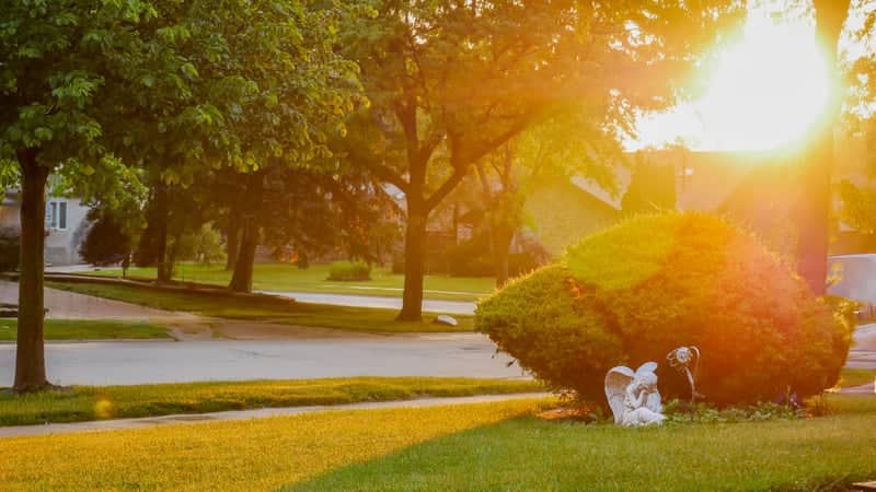 Addison Suburban Golden Hour - Image 1