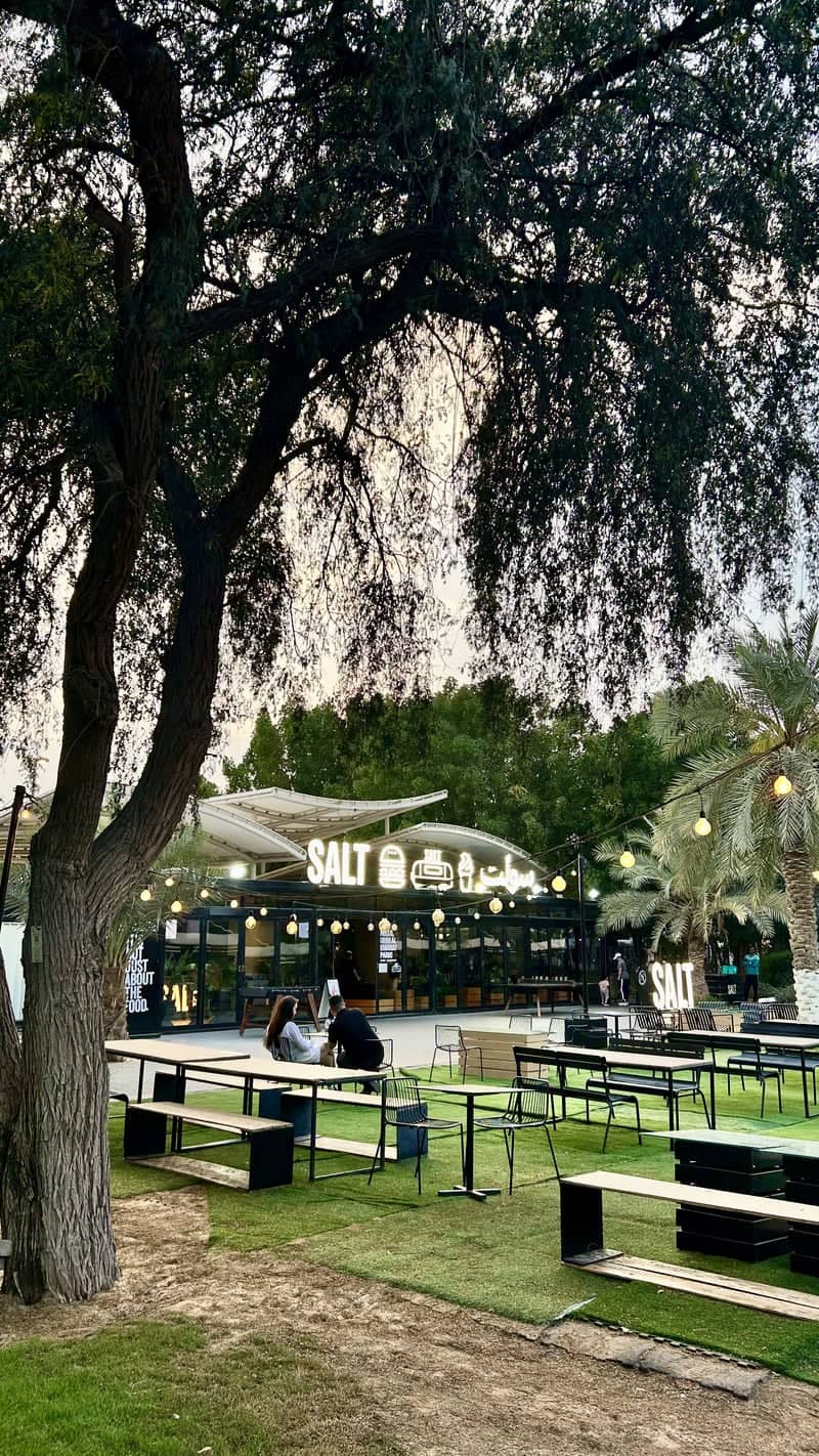 SALT at Umm Al Emarat Park - Image 1