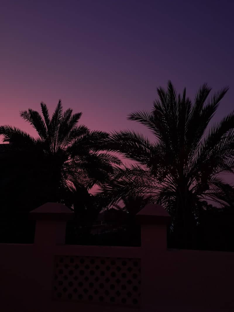 Jumeirah Palm Sunset - Image 1