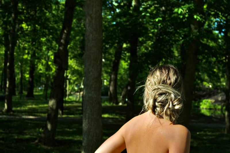 Friendship Park Woods - Image 1
