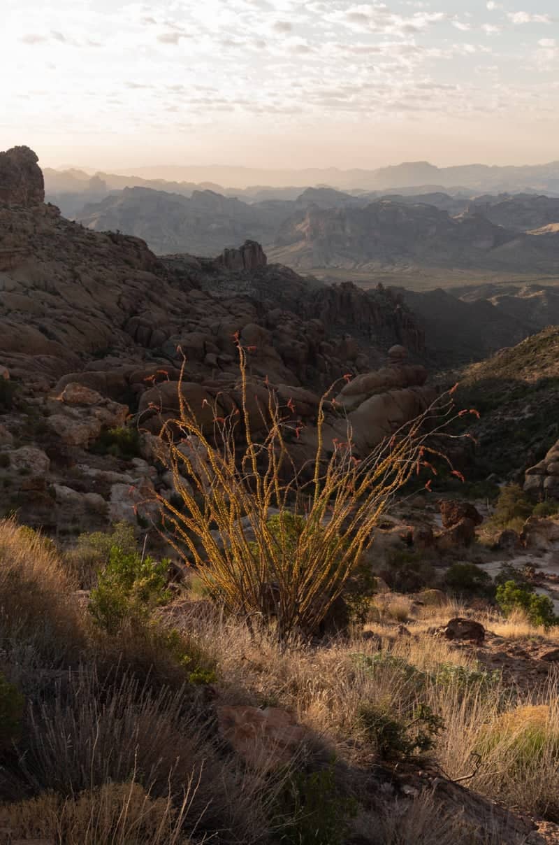 Superstition Mountains Overlook - Image 1