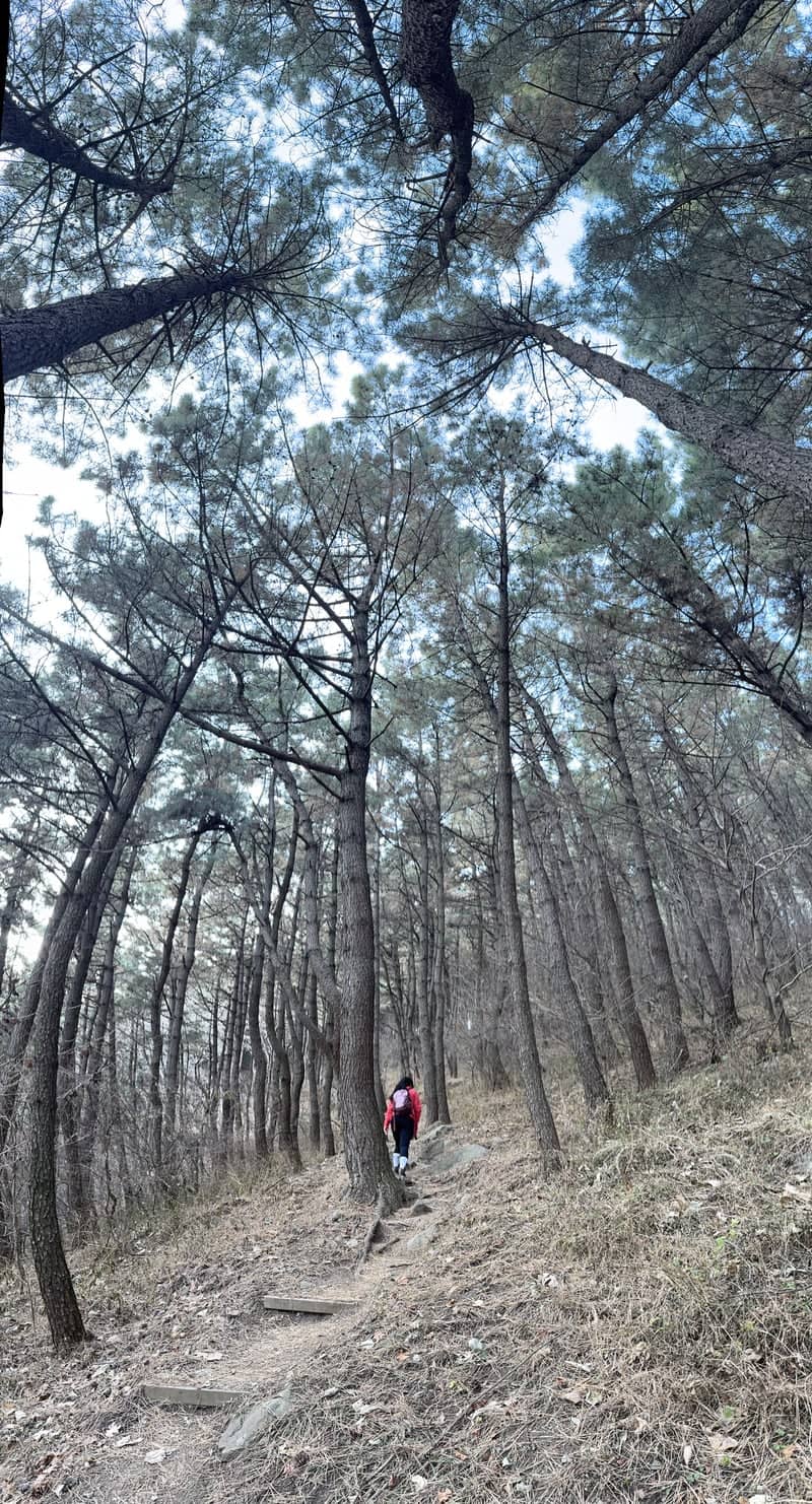 Seunghaksan Forest Trail - Image 1