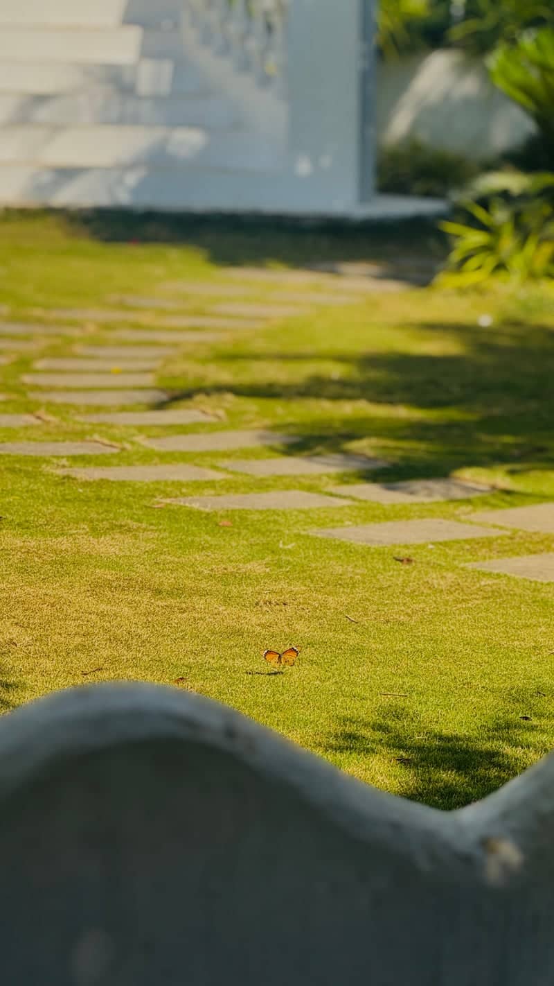 Garden Path in Bhiwandi - Image 1