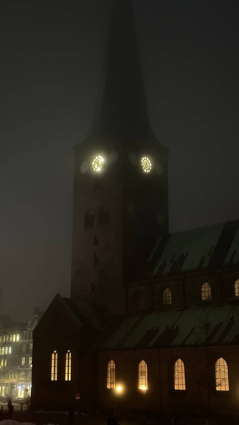 Aarhus Cathedral - Image 1
