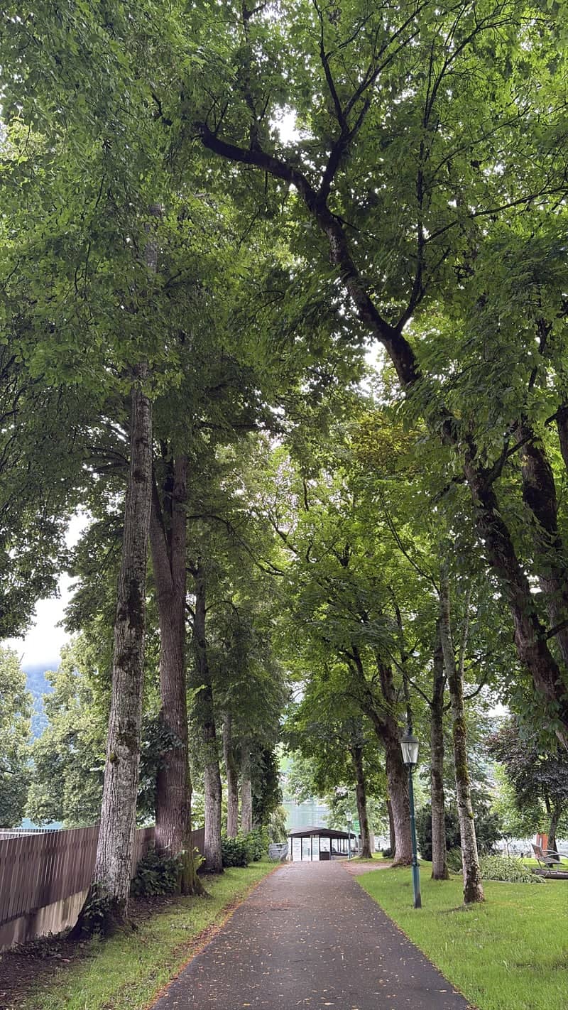 Elisabethpark Promenade - Image 1