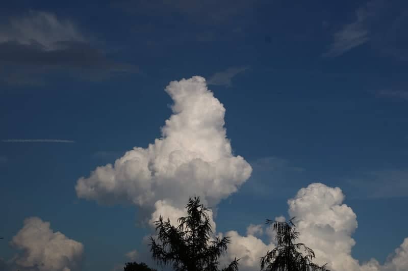 Rzeszów Reservoir Skyview - Image 1