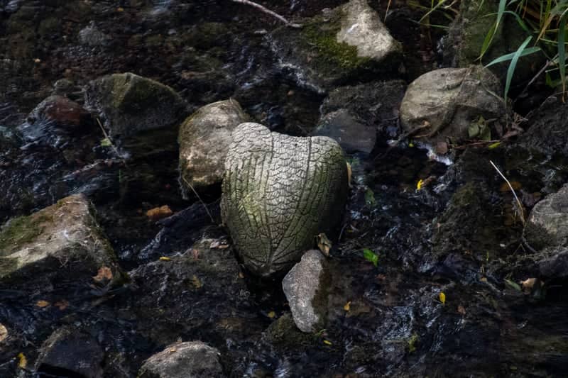 Rocky Creek Bed at Payne Avenue - Image 1