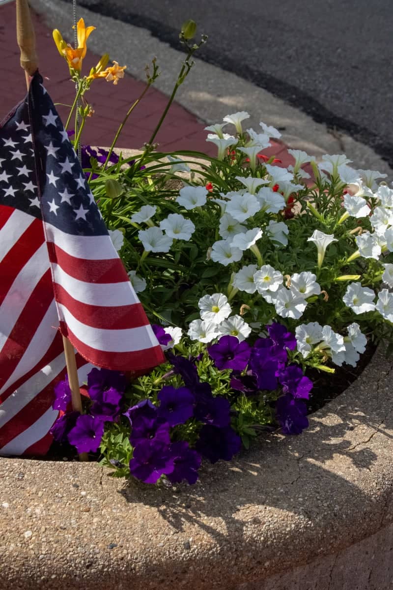 Downtown Crestline Floral Display - Image 1
