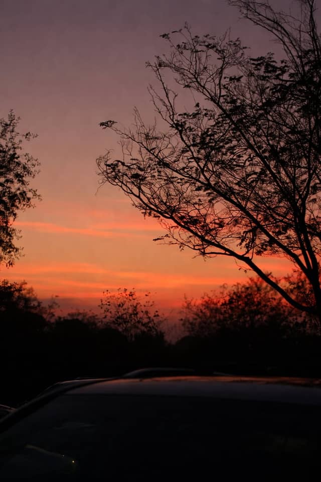 Oceanside Sunset Silhouette - Image 1