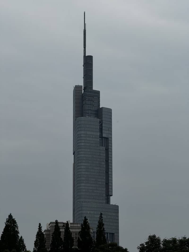 Zifeng Tower - Image 1
