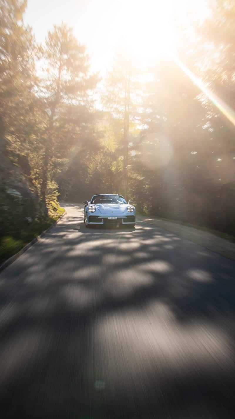 Aminona Alpine Forest Road - Image 1