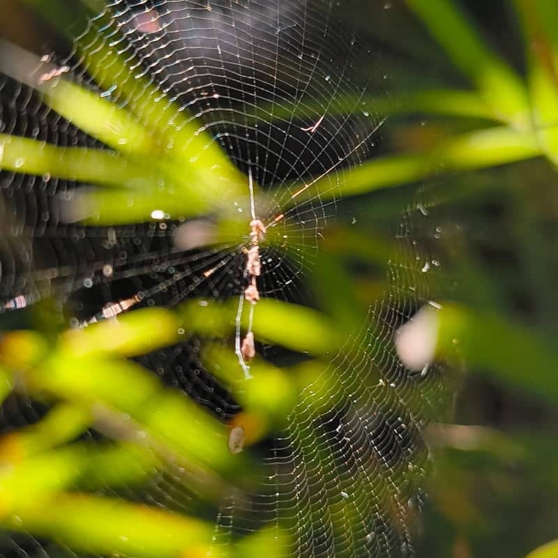 Wada Nature Trails - Image 1