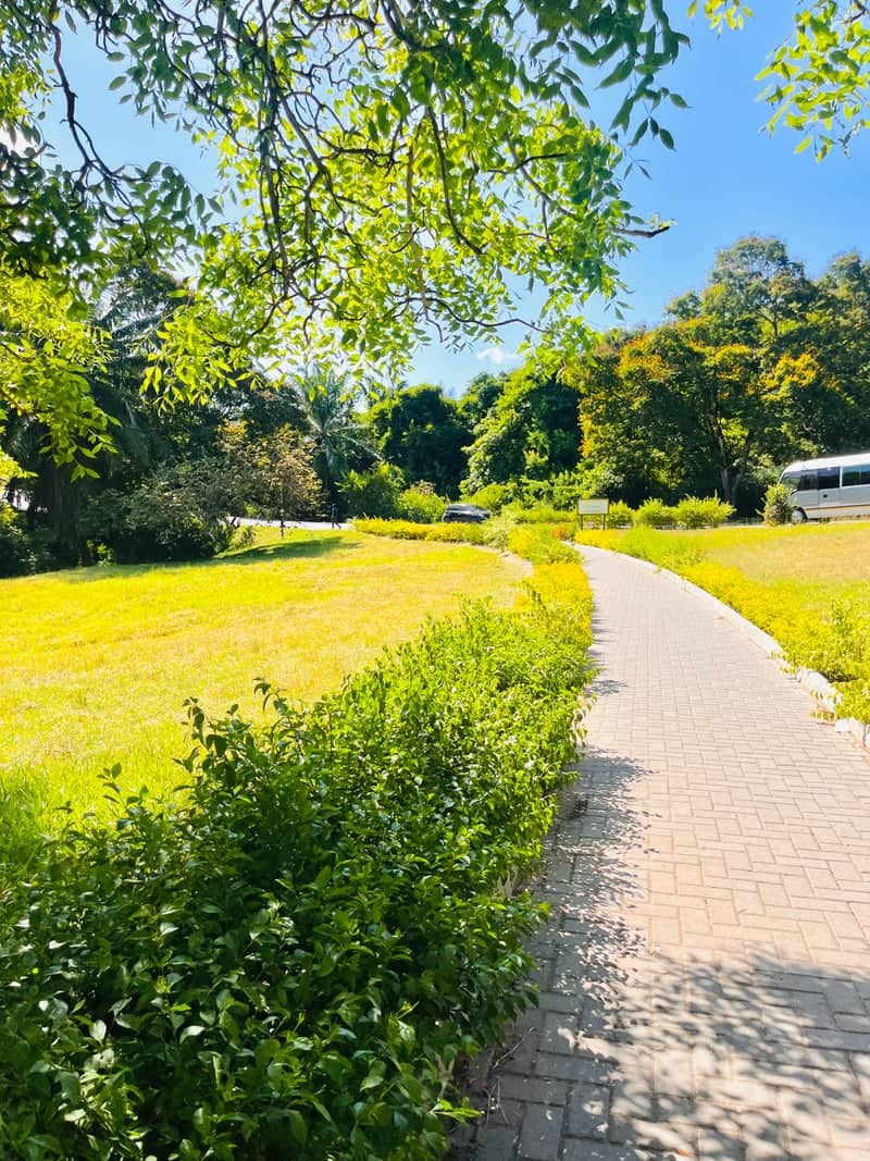 University of Dar es Salaam Gardens - Image 1