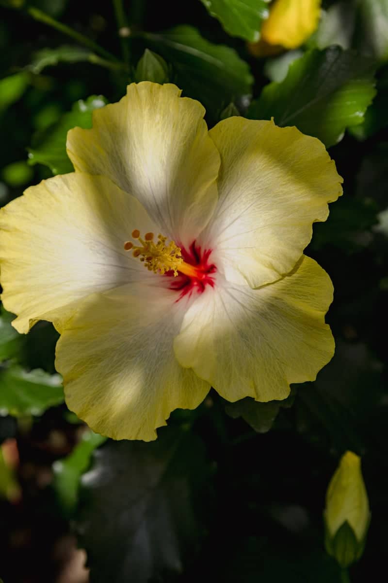 University of Alberta Botanic Garden - Image 1