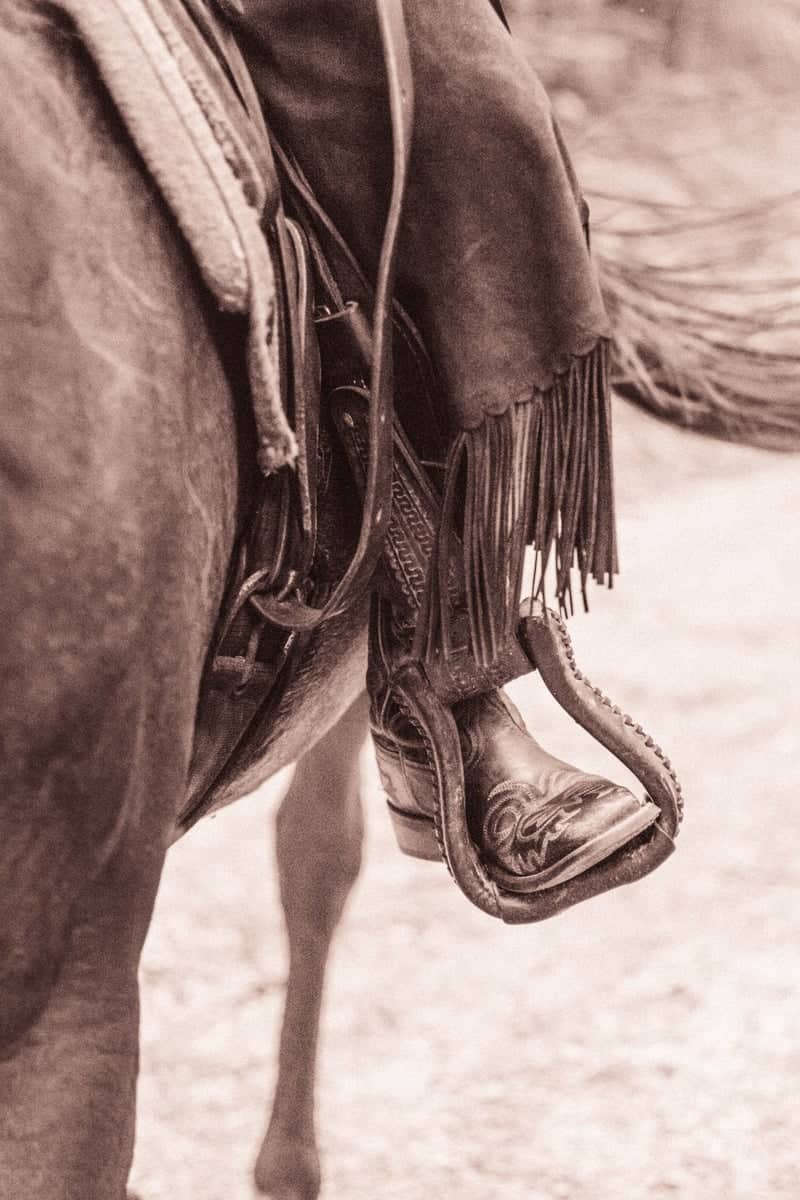 Equestrian Trails of Rob - Image 1