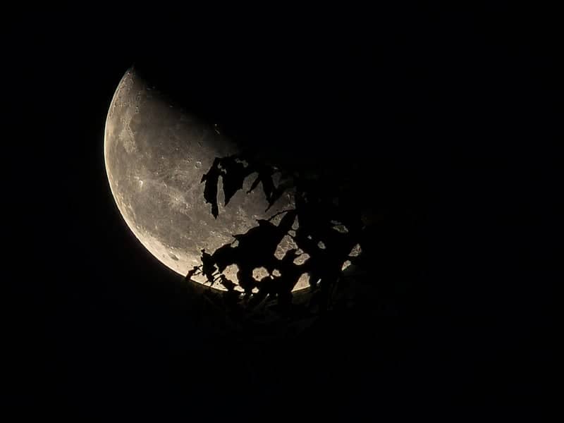 Crescent Moon Silhouette, Sleman - Image 1