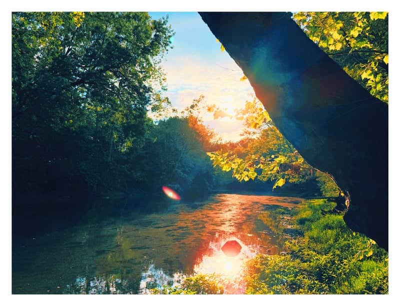 Mississinewa Riverbank - Image 1