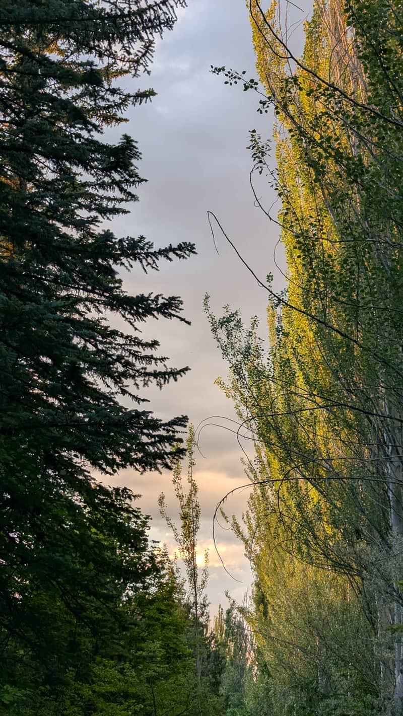 Jrvezh Forest Park - Image 1