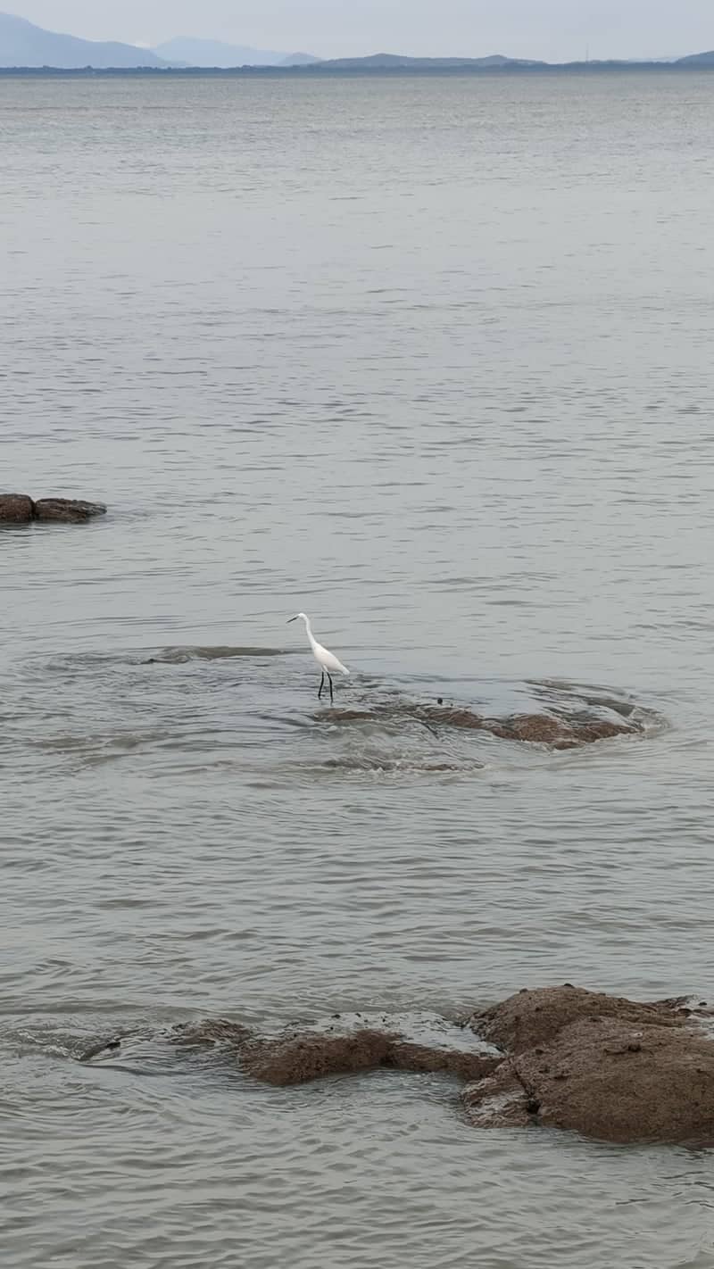 George Town Coastal Shoreline - Image 1
