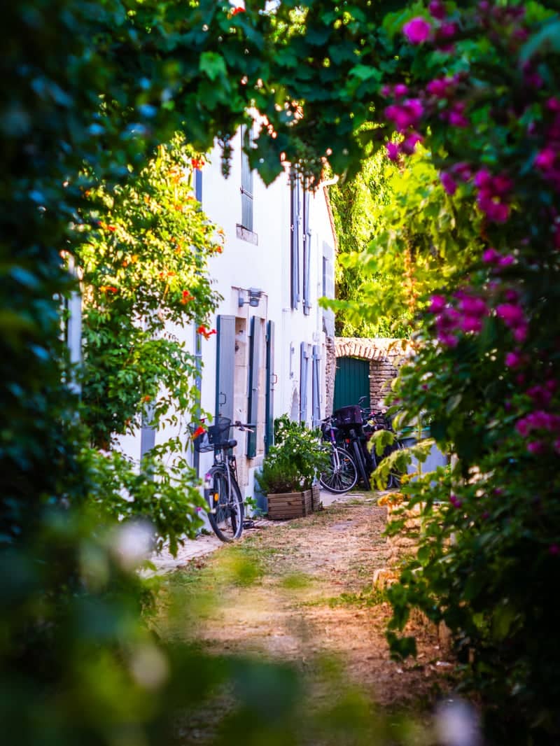 Charming Alley of Les Portes-en-Ré - Image 1