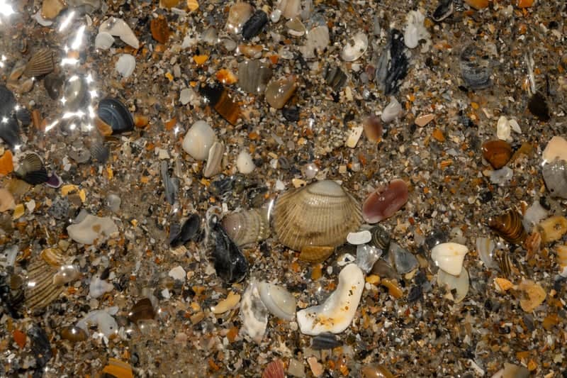 Emerald Isle Beach - Image 3