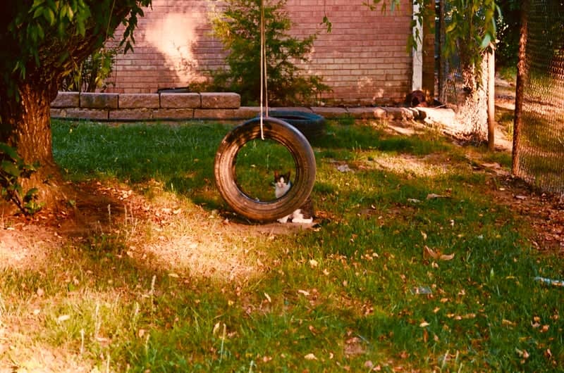 Thomasville Garden Swing - Image 1