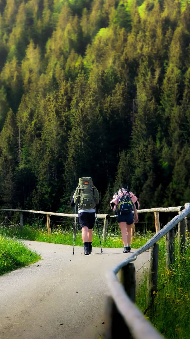 Chiemgau Alps Hiking Trail - Image 1
