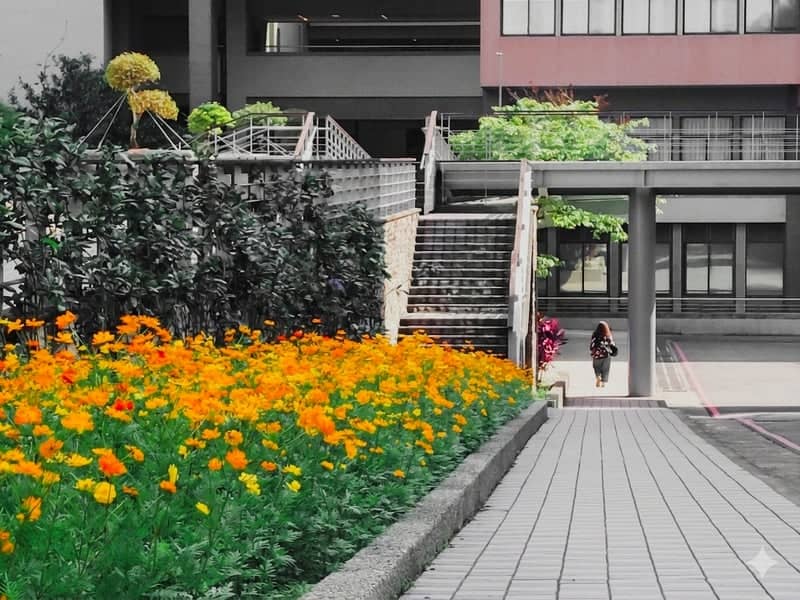 Guishan Campus Garden Walkway - Image 1