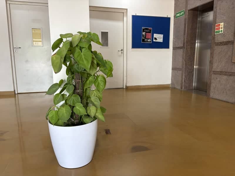 Office Lobby in Rai Industrial Estate - Image 1