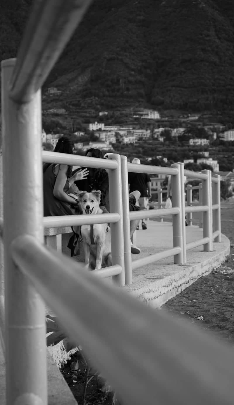Castellammare di Stabia Lungomare - Image 1