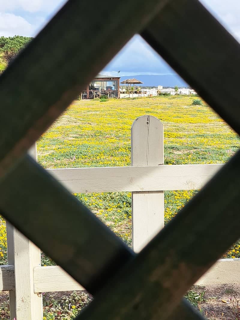 Torre Grande Coastal Meadow - Image 1