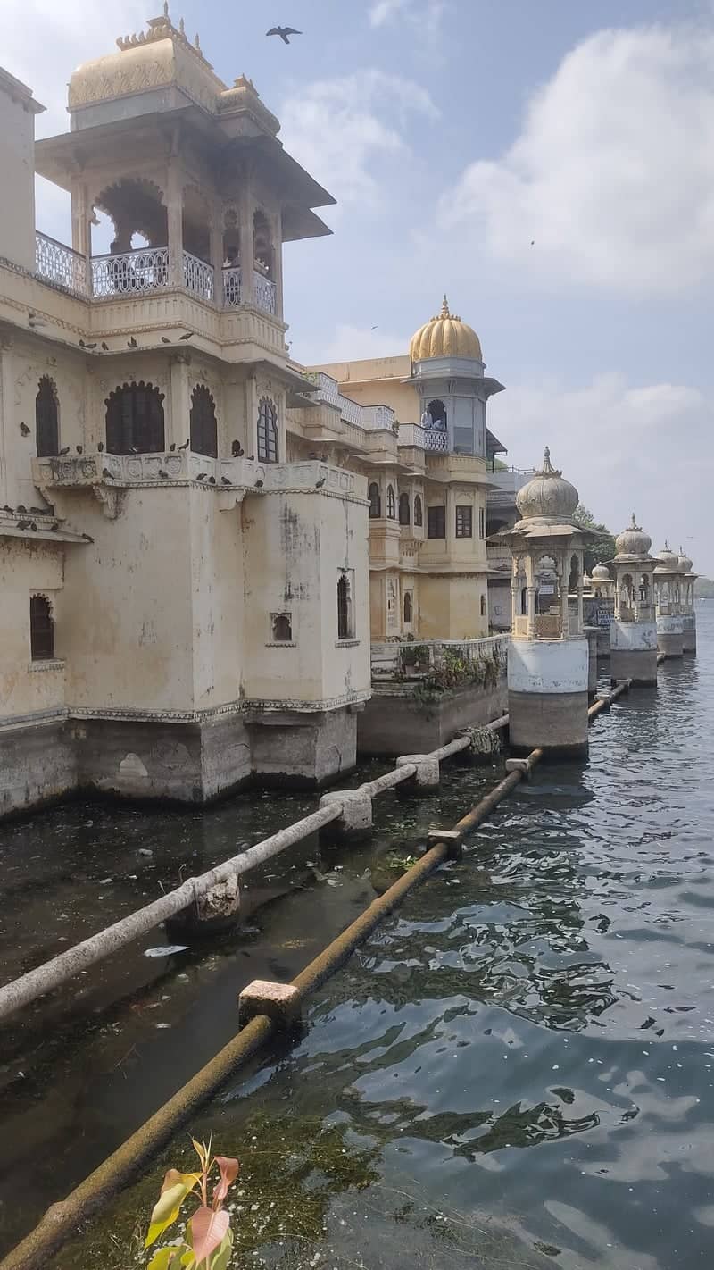 Sursagar Lake - Image 1