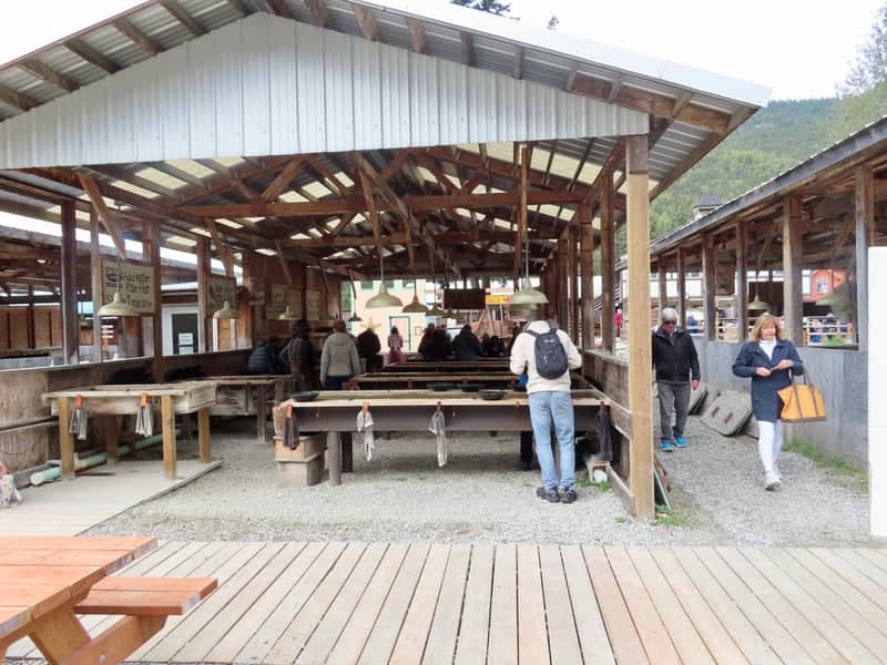 Liarsville Gold Rush Trail Camp - Image 1