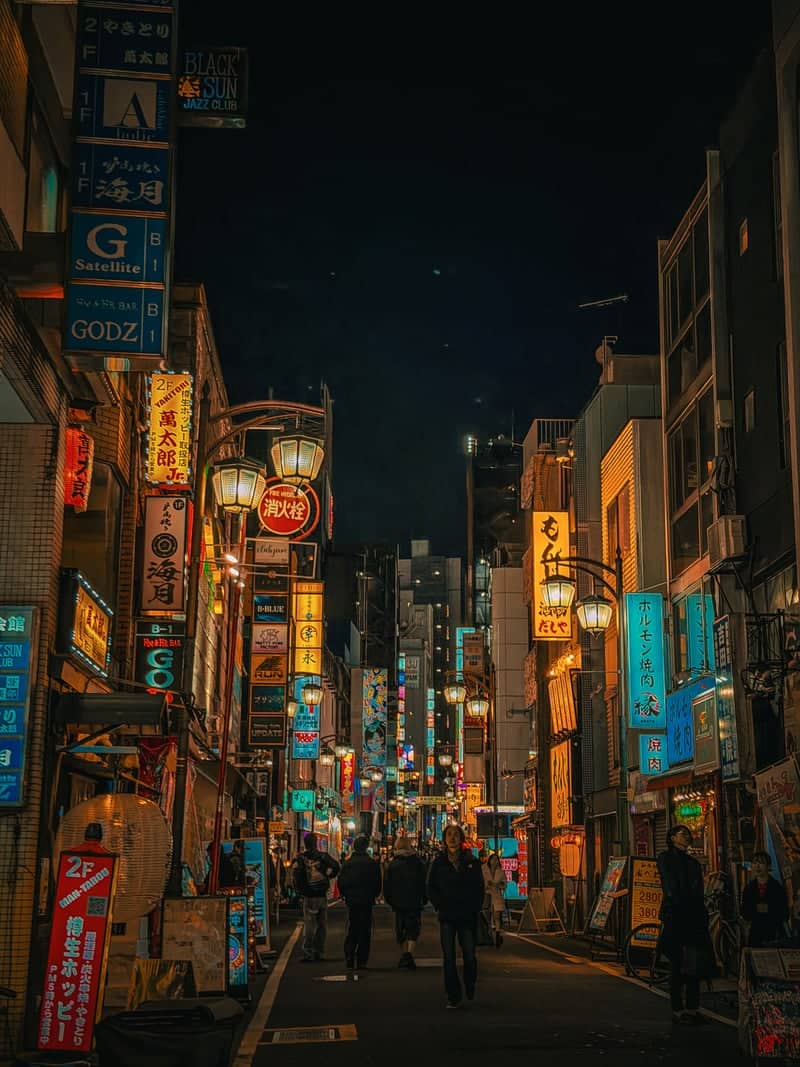 Shinjuku Kabukicho Alleys - Image 1