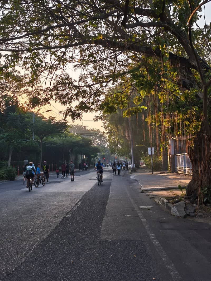 Darmo Boulevard Morning - Image 1