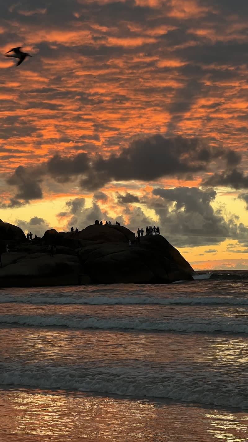 Pedras da Joaquina - Image 1