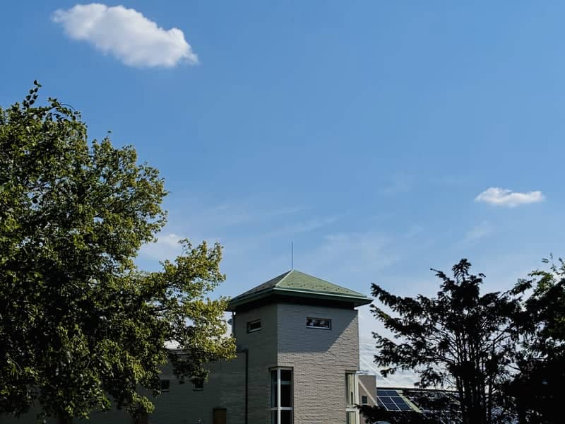 University of Debrecen Campus - Image 1