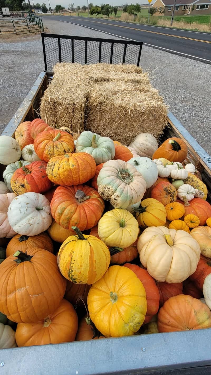 Honeyville Roadside Farm Stand - Image 1