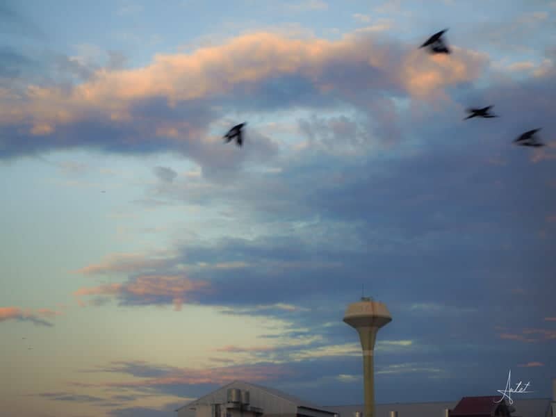 Naresuan University Campus Sky - Image 1