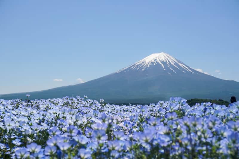 Oishi Park - Image 1