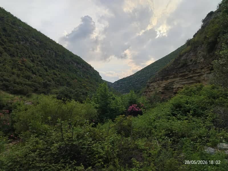 Latakia Mountain Valley - Image 1