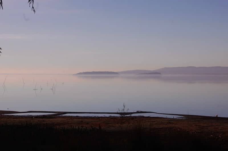 Lake Trasimeno Shoreline - Image 1