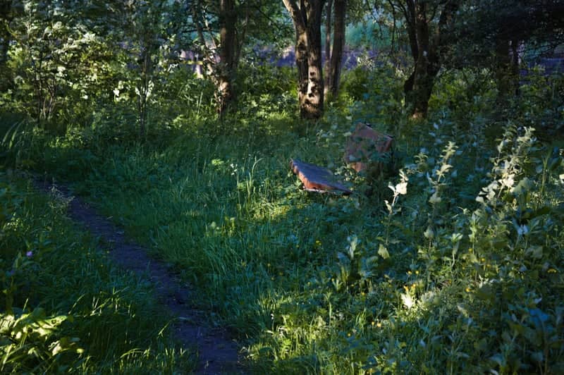Overton Woodland Path - Image 1