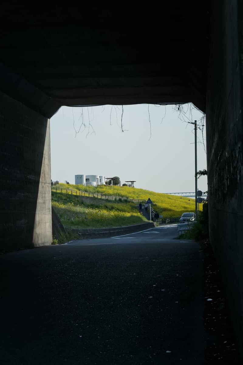 Edogawa Riverbank Misato - Image 1